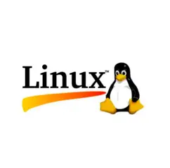 率先支持Linux系统的信创版本RPA